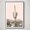 Saguaro Cactus in Sonoran Desert - Blush Pink | Photography by Capricorn Press. Item composed of paper compatible with boho and contemporary style