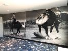 Equestrian Girl | Murals by Lauren Berley | DoubleTree by Hilton Greeley at Lincoln Park in Greeley. Item made of synthetic