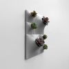 Modern Ceramic Wall Planter Set - Living Wall Art - Node | Plant Hanger in Plants & Landscape by Pandemic Design Studio. Item made of ceramic compatible with modern style