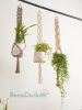 Macrame Plant Hanger, Boho Plant Holder | Plants & Landscape by BeanDaikon. Item made of cotton works with boho style