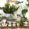 Pondering Planter | Vase in Vases & Vessels by Two Hold Studios. Item made of stoneware