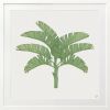 Tropical Plantation - 1 & 2 & 3 - Green - Framed Art | Prints by Patricia Braune. Item composed of paper