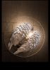 "Angel's Retreat" | Sconces by F+M FOS - Anna Maria Fragiskos Bitros. Item composed of aluminum and synthetic
