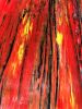 Inferno | Oil And Acrylic Painting in Paintings by Dutch Montana Art | Corona Del Mar in Newport Beach. Item made of canvas & synthetic
