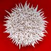 "The desire to be in control #4" small round wall sculpture | Wall Hangings by Natasha Kanevski. Item made of canvas compatible with minimalism and contemporary style
