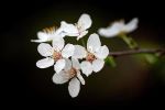 Spring Simplicity | Photography by Vanessa Thomas. Item made of paper