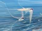 Enchanted, a blue seascape with birds | Oil And Acrylic Painting in Paintings by Gill Bustamante. Item made of canvas works with contemporary & country & farmhouse style