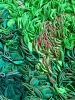 Glowing Greens Felt Wall Hanging (Framed) | Wall Sculpture in Wall Hangings by Kate Leibrand. Item made of wood & fabric compatible with contemporary and eclectic & maximalism style