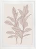 Rubbery Leaf - 1 & 2 - Stone - Framed Art | Prints by Patricia Braune. Item composed of paper