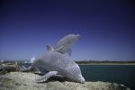 Dolphin Family | Public Sculptures by Mike Van Dam Art. Item composed of steel