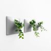 Node S Wall Planter, 6" Modern Plant Wall Set, Gray | Plant Hanger in Plants & Landscape by Pandemic Design Studio. Item composed of stoneware compatible with minimalism and mid century modern style
