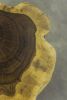 Carved Live Edge Solid Wood Trunk Table ƒ3 by Costantini | Side Table in Tables by Costantini Design. Item composed of wood in contemporary or country & farmhouse style