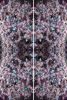 Lavender Cacti Wallpaper | Wall Treatments by Ri Anderson. Item composed of synthetic