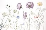 Meadow Study No. 10 : Original Watercolor Painting | Paintings by Elizabeth Becker. Item made of paper works with boho & minimalism style