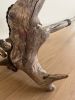 Stretch - A Unique Driftwood Table Lamp | Lamps by Max Andersen. Item made of wood with metal