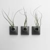 Modern Ceramic Wall Planter - Plant Wall Art - Node 3" | Living Wall in Plants & Landscape by Pandemic Design Studio. Item made of ceramic works with modern style