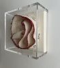 Fiber Art / 3 Dimensional / Wall Sculpture with Frame | Wall Hangings by Stef Shock. Item composed of fabric and glass in boho or contemporary style