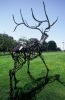 Large scale sculptures of elk and tiger | Public Sculptures by Wendy Klemperer Art Inc | California State University, Bakersfield in Bakersfield. Item composed of steel