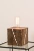 Cape Fox | Table Lamp in Lamps by Blom & Blom. Item made of wood with glass