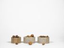 Contenuti - riservato | Jar in Vessels & Containers by gumdesign. Item composed of wood and stone in contemporary style