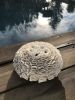 ABYSS SCULPTURE N°2 | Sculptures by Purindigo. Item composed of ceramic