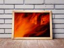 Lag BaOmer I | Limited Edition Print | Photography by Tal Paz-Fridman | Limited Edition Photography. Item made of paper works with boho & contemporary style