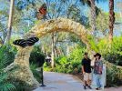 Monarch Butterfly Sculpture - Pinecrest Gardens Miami FL. | Public Sculptures by Steve Nielsen Art | Gardens of Pinecrest Apartments in Pinecrest