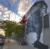Dr. Maya Angelou | Street Murals by Shawn Michael Warren | Dr. Maya Angelou Community High School in Los Angeles