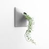 Node L Wall Planter, 12" Mid Century Modern Planter, Gray | Plant Hanger in Plants & Landscape by Pandemic Design Studio. Item made of stoneware