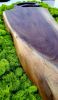 Live Edge Black Walnut Cutting Board | Serving Board in Serveware by Carlberg Design. Item made of walnut works with minimalism style