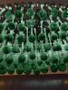 Hand Blown Green Glass and Steel Chandelier by Costantini | Chandeliers by Costantini Design. Item composed of steel & glass compatible with contemporary and modern style
