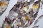 Sienna Leaves Wall Sculpture, 60 Pieces Set, Multi-Color | Wall Hangings by SevaCeramics. Item composed of ceramic