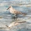 Shorebird | Watercolor Painting in Paintings by Maya Murano Studio. Item made of birch wood works with minimalism & coastal style