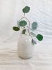 Daan Vase with Handle | Vases & Vessels by Mary Lee. Item composed of ceramic