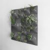 Modern Ceramic Wall Planter Plant Wall - The Node Collection | Living Wall in Plants & Landscape by Pandemic Design Studio. Item made of ceramic works with modern style