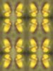 EphemeralGlow_1054_SET | Wallpaper in Wall Treatments by Petra Trimmel. Item made of fabric with paper