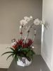 Tropical love arrangement | Floral Arrangements by Fleurina Designs | Almaden Golf & Country Club in San Jose