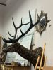 Level Up Your Game -ELK | Sculptures by KIRSTEN KAINZ | Bozeman, MT in Bozeman. Item made of metal works with contemporary & country & farmhouse style