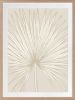 Nobilis Palm - 1 & 2 & 3 - Sand - Framed Art | Prints by Patricia Braune. Item made of canvas & paper