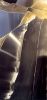 CHEROKEE LEGEND | Sculptures by jim collins sculpture. Item made of steel
