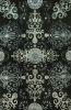 PALACE (Midnight) Hand-Knotted Rug | Runner Rug in Rugs by Emma Gardner Design, LLC | Private Residence, Denver, CO in Denver. Item made of fabric