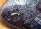 Bear Trails and Tall Tales - Decorative Coffee Table | Tables by Jeffrey H Dean | Bear Trail Lodge in King Salmon. Item made of steel