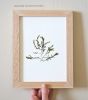 Pressed Seaweed, Single 105. A5. | Pressing in Art & Wall Decor by Jasmine Linington. Item made of paper