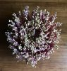 Untitled Plant 01 | Sculptures by Renee's Ceramics