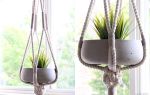 Large Macrame Plant Hanger, Hanging Planter, Color Block | Plants & Landscape by Freefille. Item composed of cotton in minimalism or mid century modern style