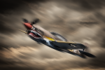 Tiger Shark | Photography by Rick Szczechowski Photography Inc.. Item composed of metal