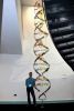 DNA sculpture | Sculptures by Tim Roper | Concord College in Acton Burnell