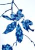 Spring Madrone III (30 x 22" cyanotype painting on paper) | Watercolor Painting in Paintings by Christine So. Item made of paper works with boho & country & farmhouse style