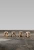 ELEMENTOS Earth Stool Sandblasted Pine By Daniel Couttolenc | Chairs by Daniel Couttolenc. Item made of wood works with boho & contemporary style
