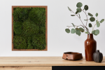 100% Live Moss Wall Art in Brown | Living Wall in Plants & Landscape by Moss Pure. Item composed of wood compatible with contemporary and industrial style